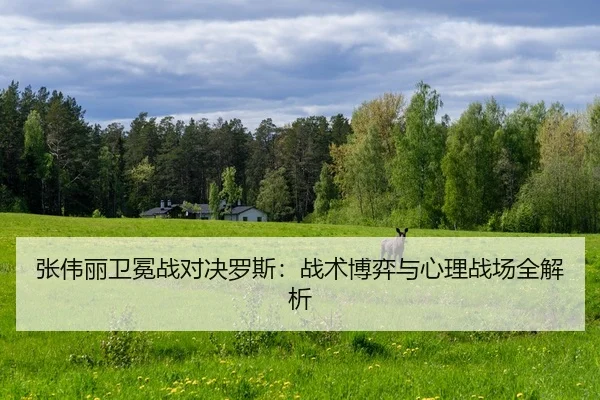 zhang-wei-li-wei-mian-zhan-dui-jue-luo-si-zhan-shu-bo-yi-yu-xin-li-zhan-chang-quan-jie-xi-2-407.jpg